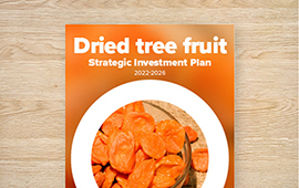 Strategic Investment Plan